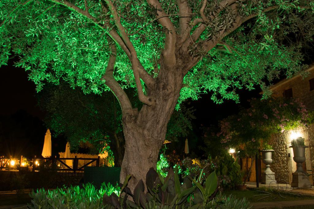 Finca Son Olive Selva  Eksteriør bilde